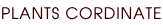 PLANTS CORDINATE